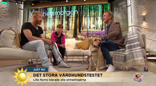 tv4